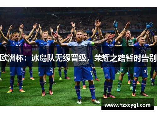 欧洲杯：冰岛队无缘晋级，荣耀之路暂时告别